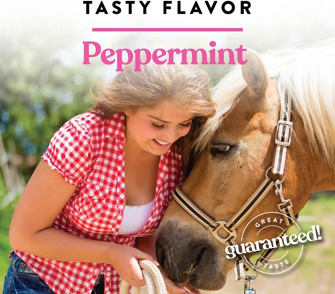 Manna Pro Bite-Size Nuggets Peppermint Flavored Horse Training Treats