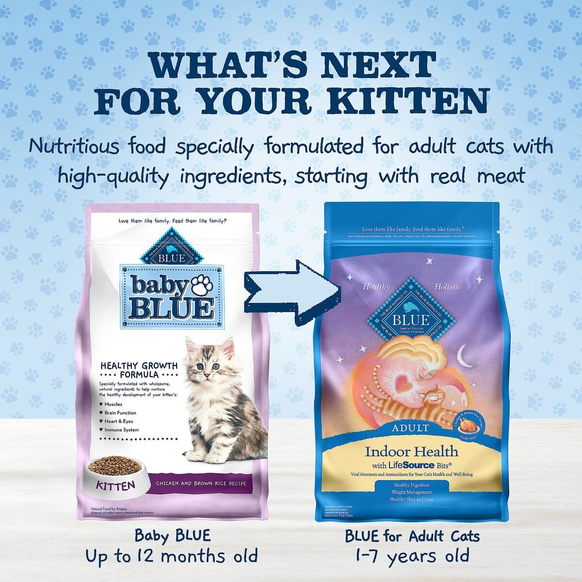 Blue Buffalo Baby Blue Healthy Growth Formula Natural Chicken and Brown Rice Recipe Kitten Dry Food