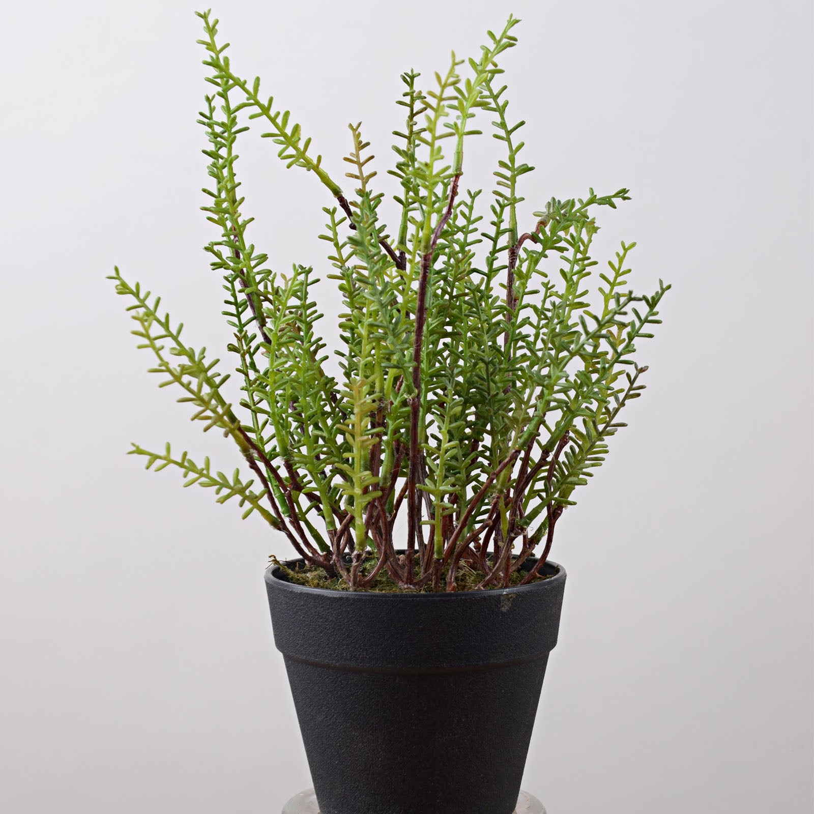 Handmade Decorative Artificial Plant N36020-Pz175