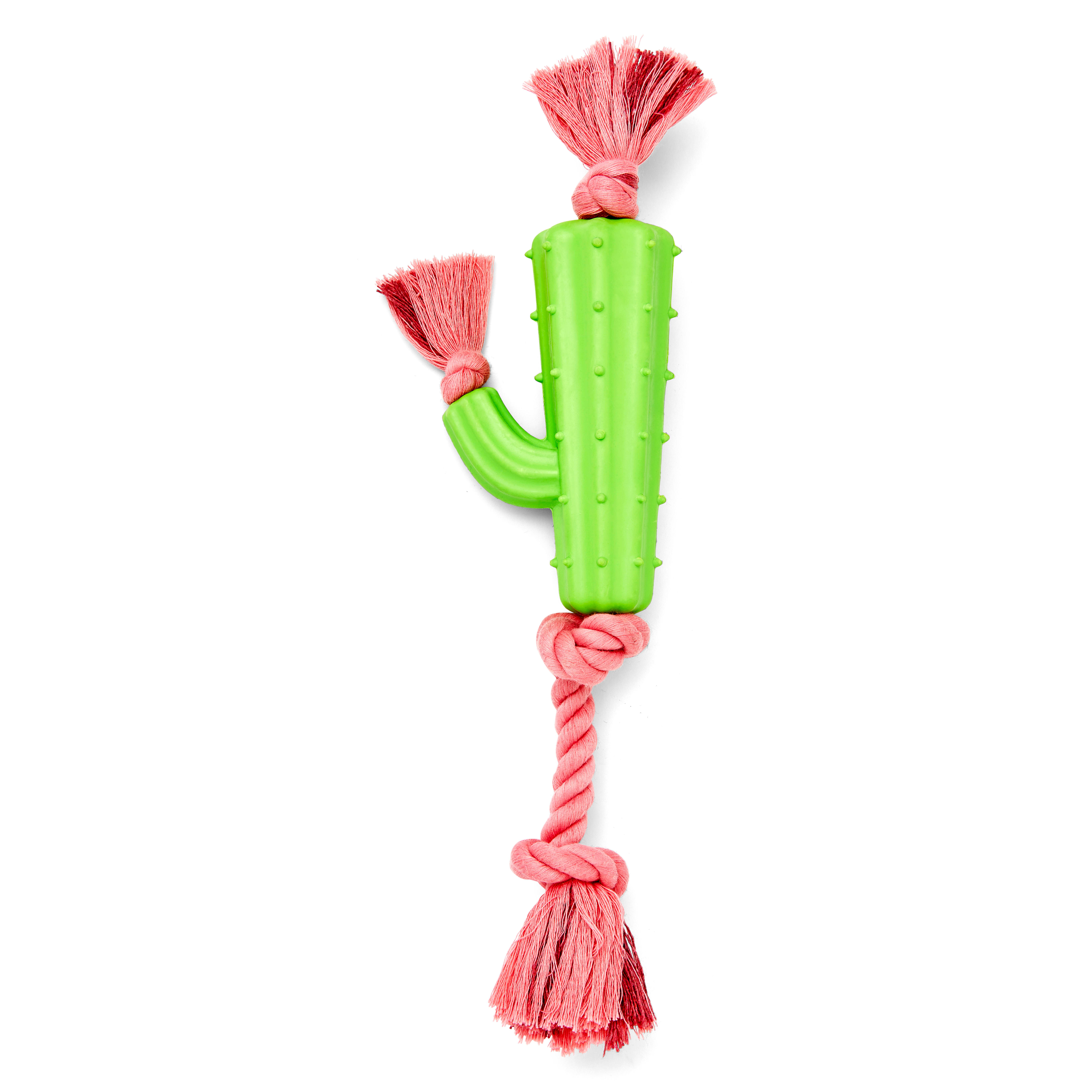 Leaps  Bounds Rubber Cactus  Rope Dog Toy， Large