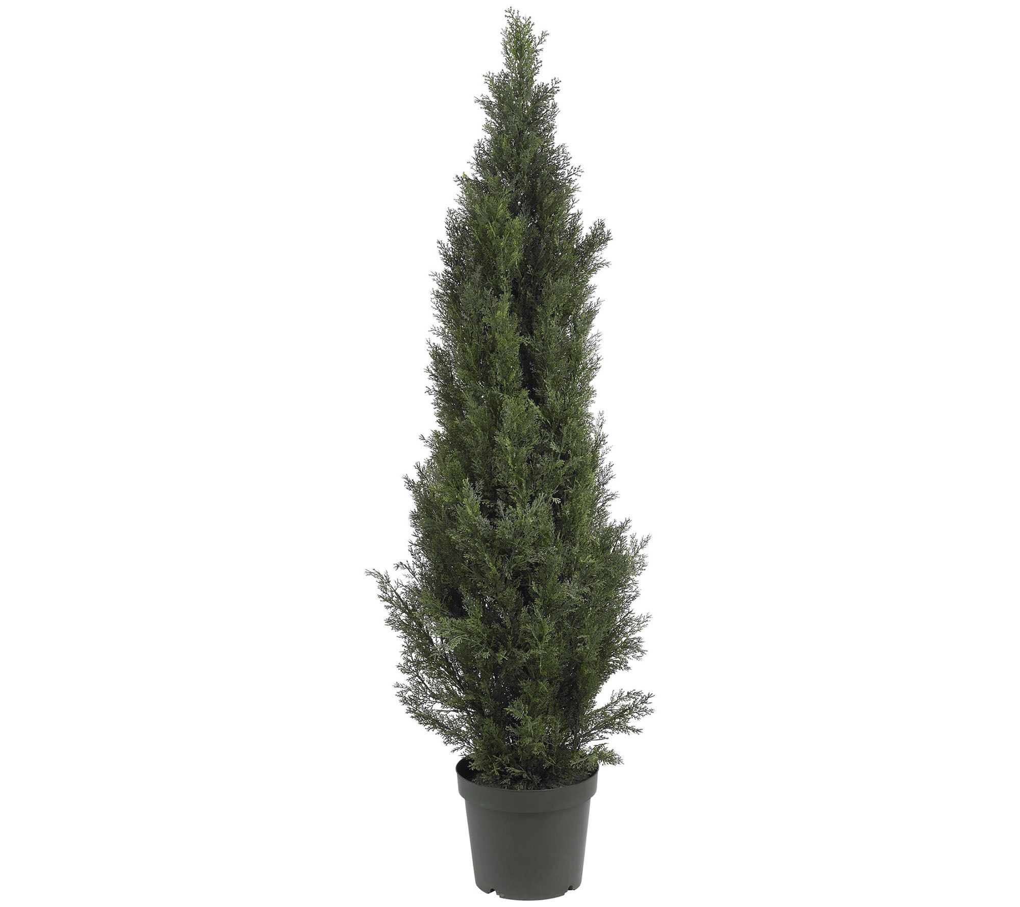 5' Mini Cedar Pine Tree by Nearly Natural