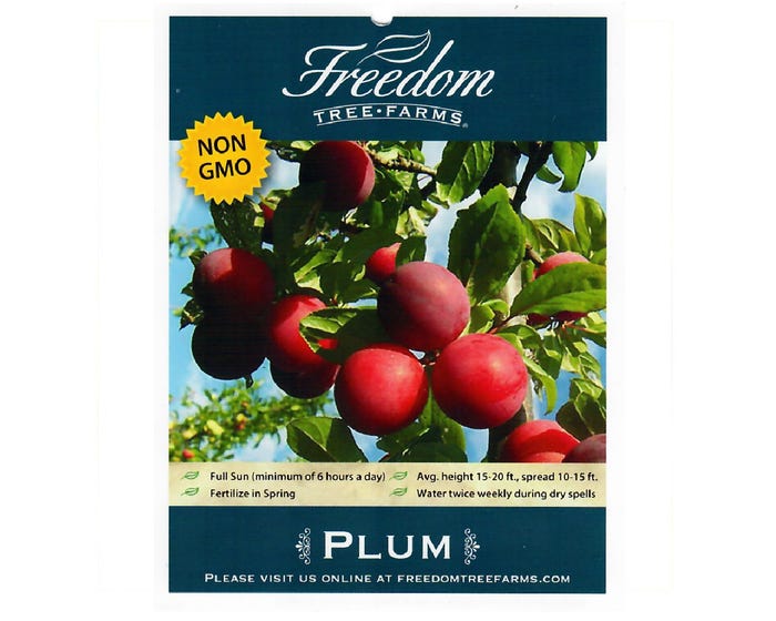 Freedom Tree Farms Alderman Plum Tree in 5 Gallon Bucket