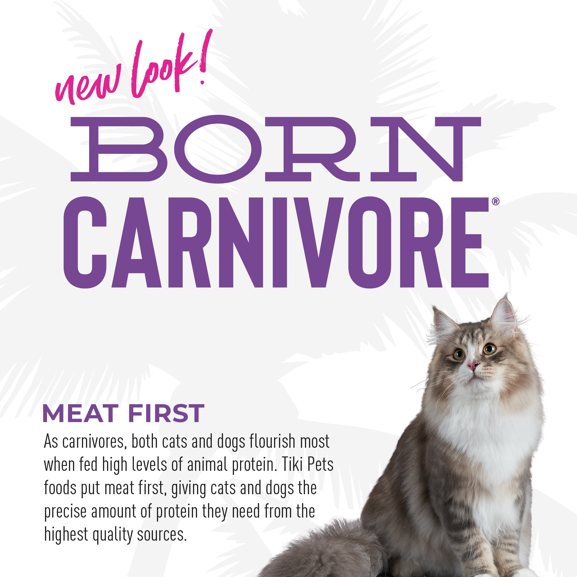 Tiki Cat Born Carnivore Chicken  Herring Dry Food， 11.1 lbs.