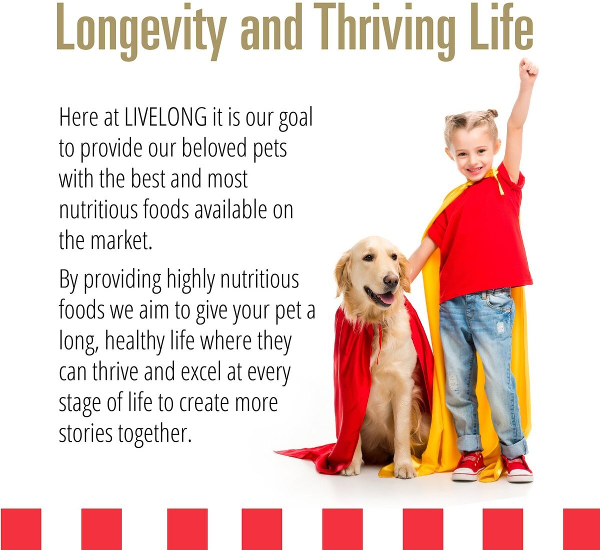 Livelong Healthy and Strong Chicken and Sweet Potato Recipe Wet Dog Food， 12.5-oz can， case of 12