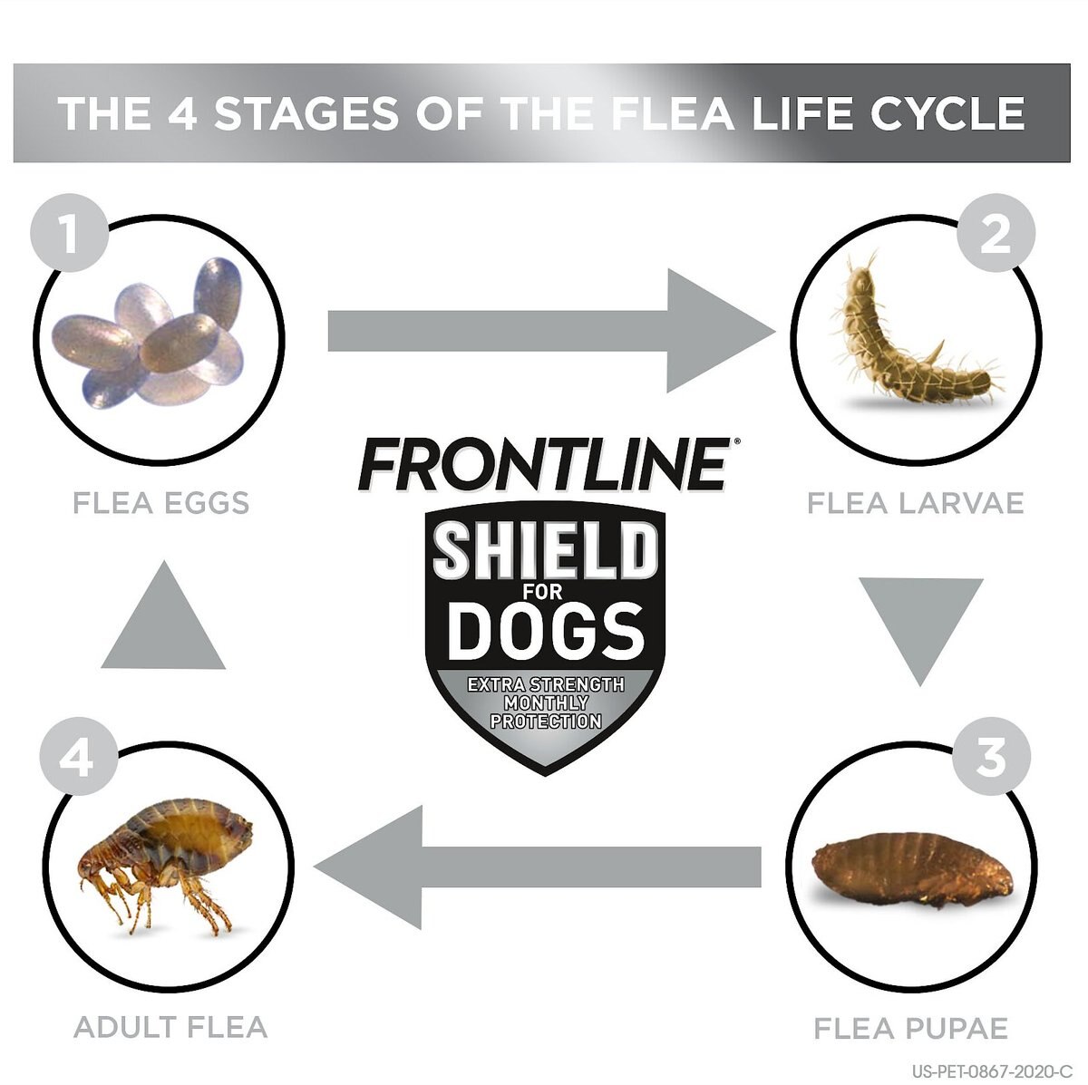 Frontline Shield Flea and Tick Treatment for Large Dogs， 41 - 80 lbs