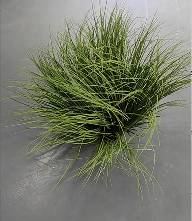 48 inch 19 head foxtail grass pot green onion grass lawn light green PE ball white light pine bark artificial landscape