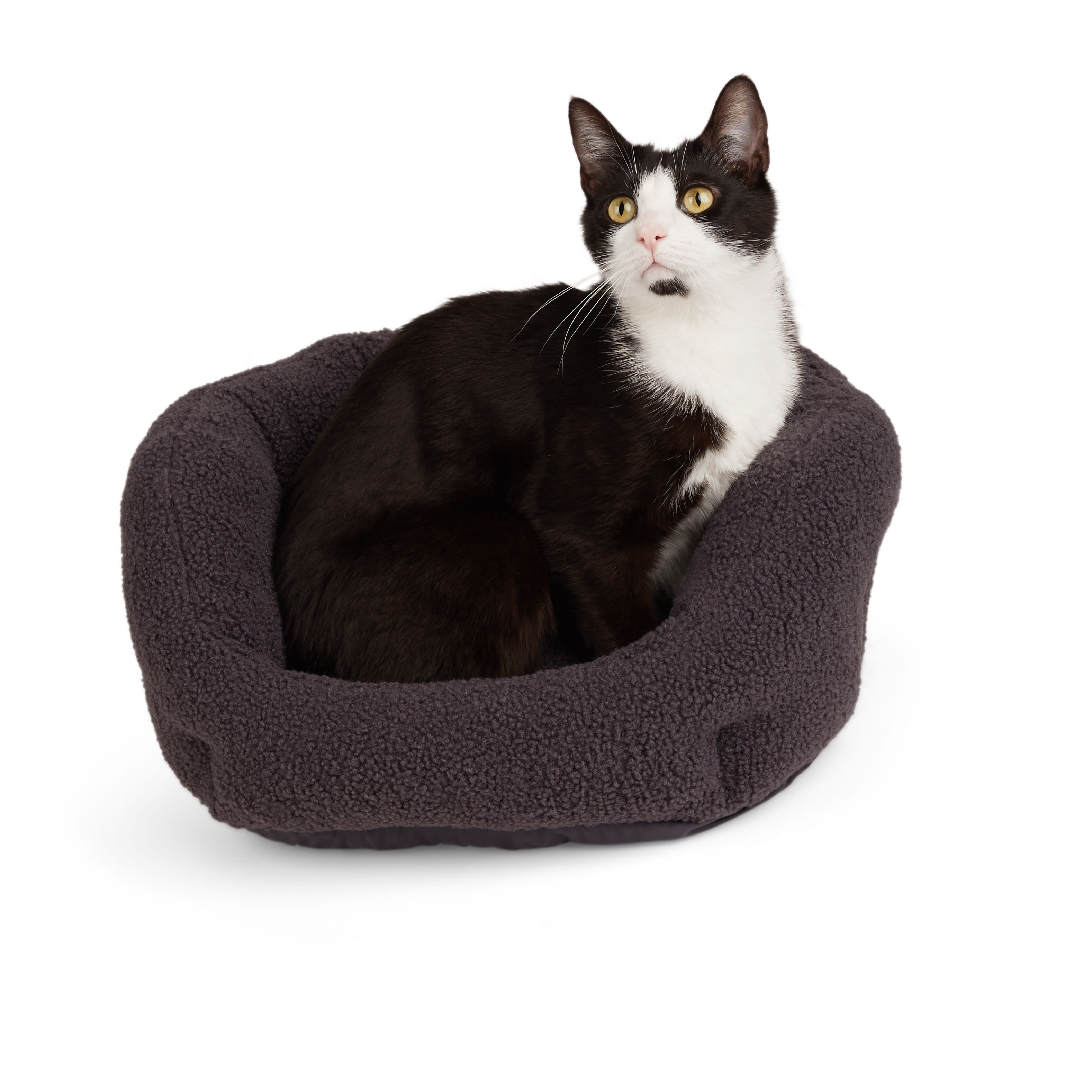 EveryYay Charcoal Boucle Cuddler Cat Bed， 17