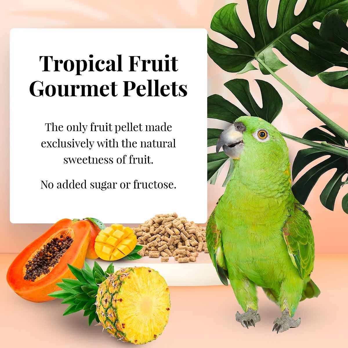 Lafeber Tropical Fruit Gourmet Pellets Parrot Bird Food