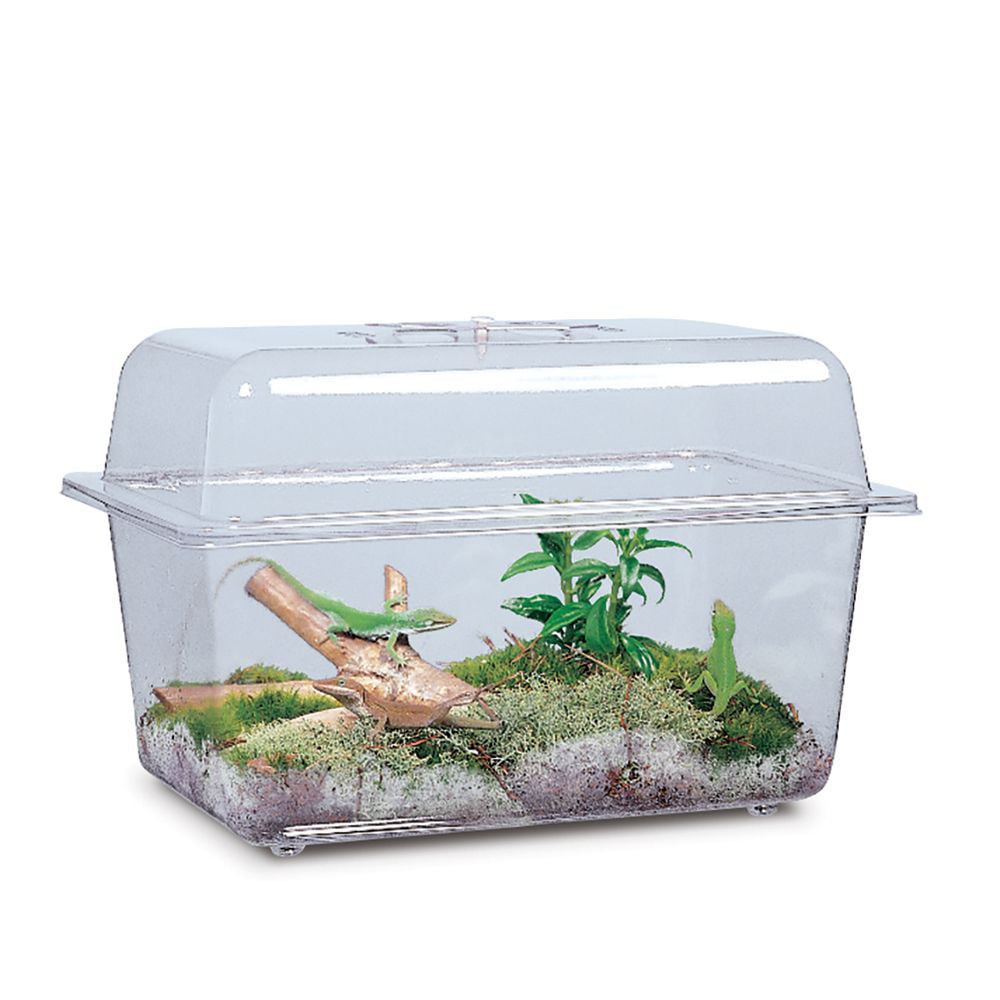 Aquarium/Terrarium， Plastic， Without Cover， 1 1/2 Gal