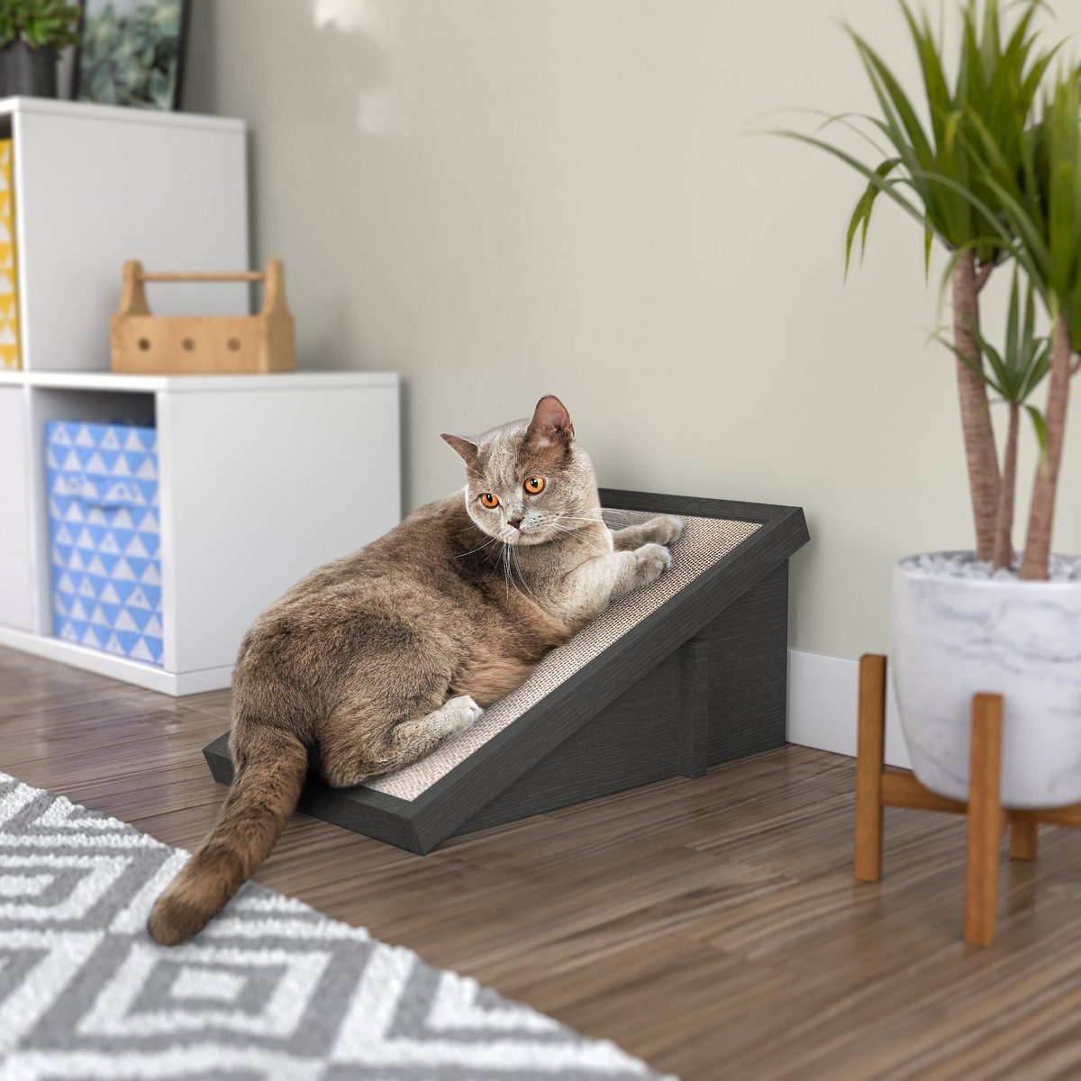 Way Basics Katzone Scratching Ramp with Catnip