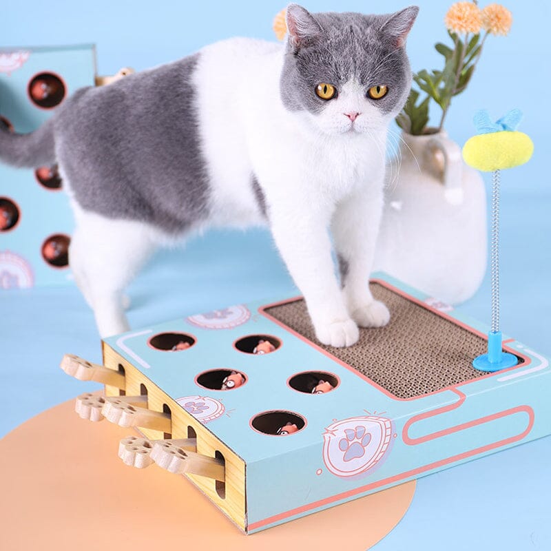 Cat Interactive Toy