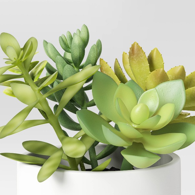 Artificial Succulents Plant In Pot