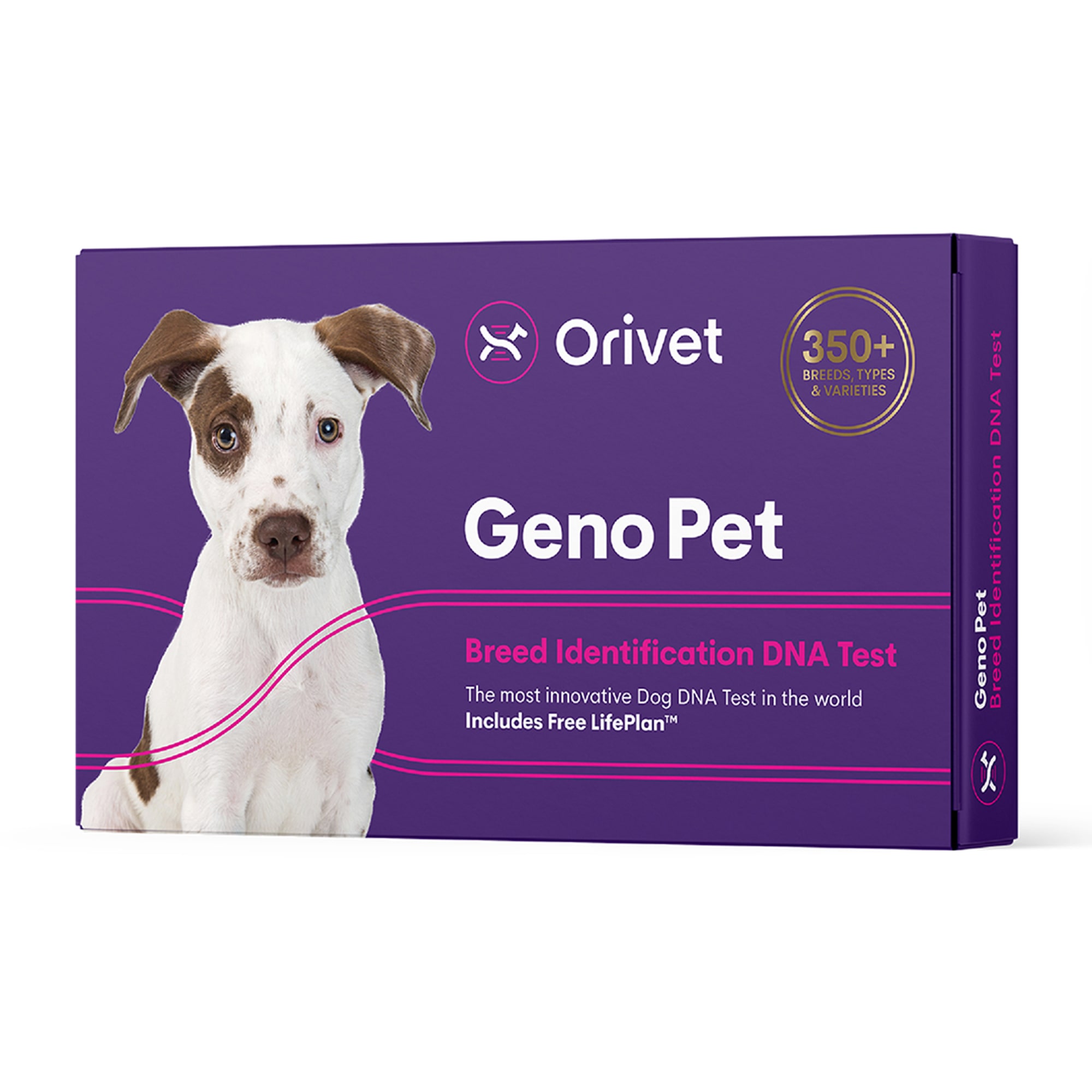 Orivet Geno Pet Dog DNA Breed Identification Test