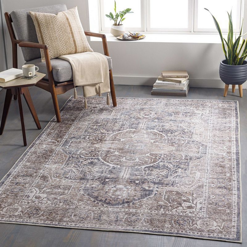 West Des Moines Traditional Washable Area Rug