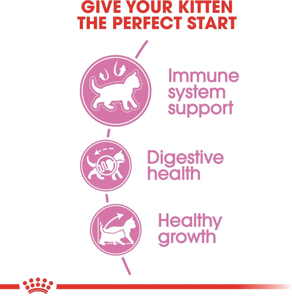 Royal Canin Feline Health Nutrition Kitten Dry Cat Food