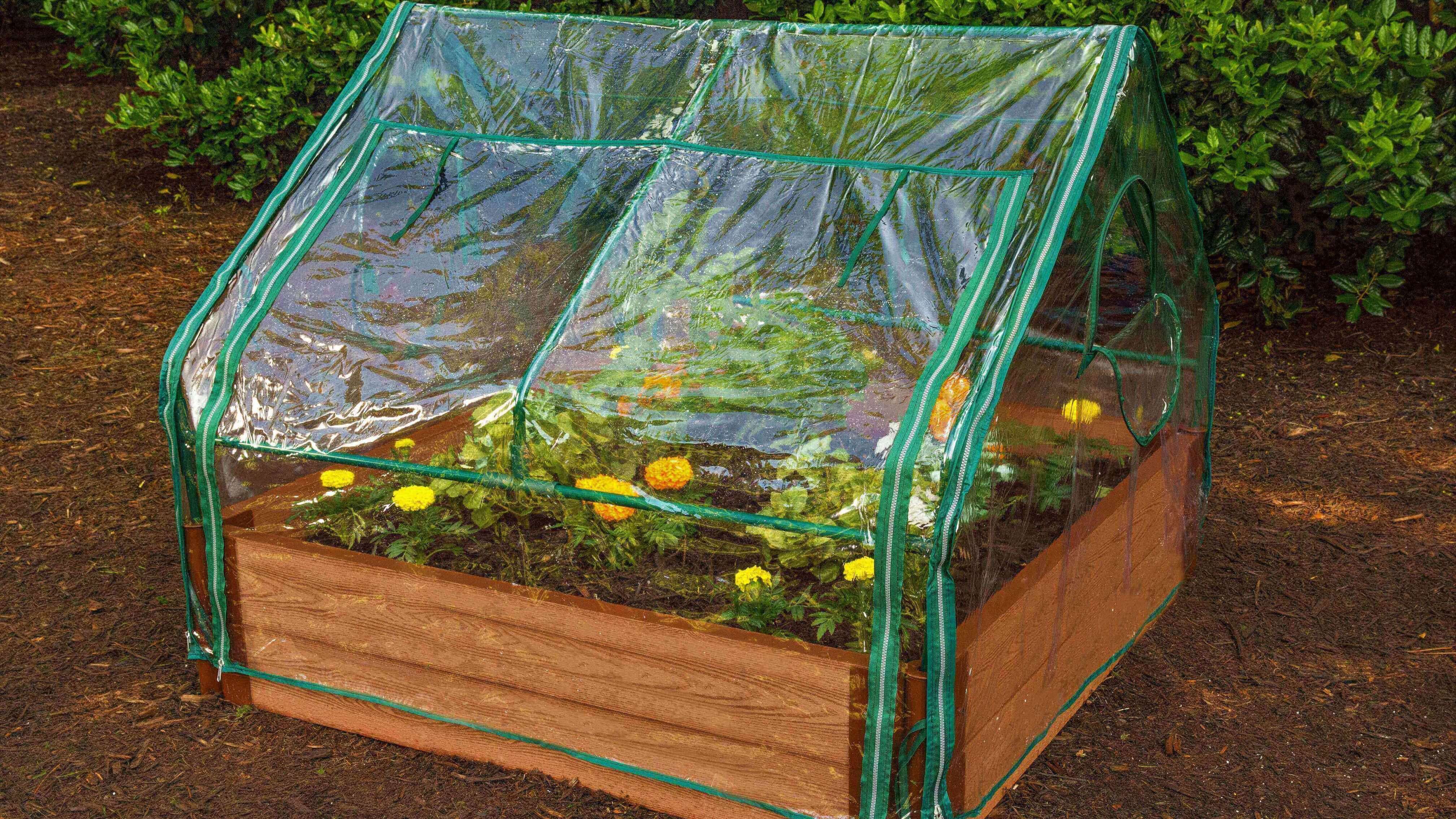 Cold Frame For Raised Bed - The 4 x 4 ‘Greenhouse’