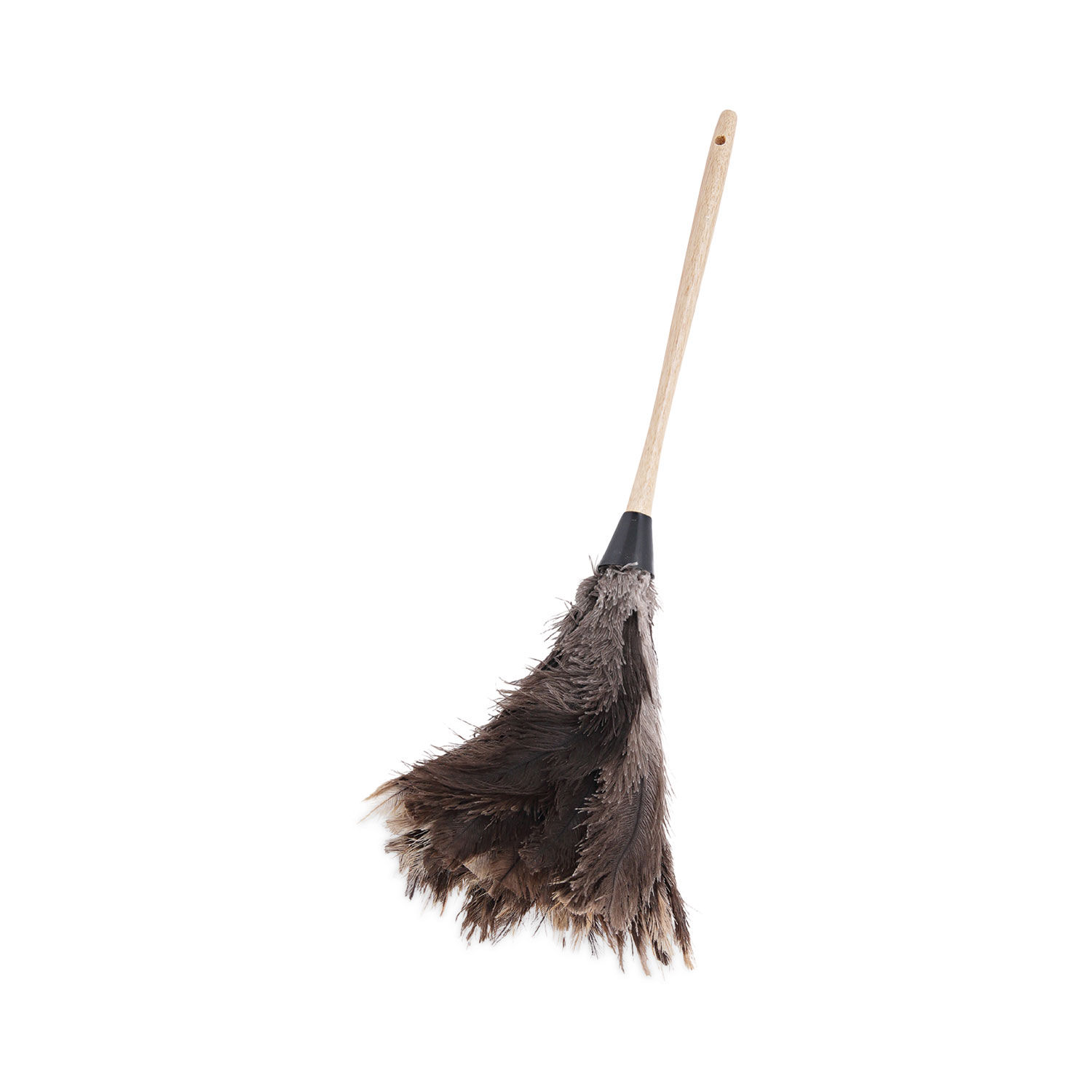 Professional Ostrich Feather Duster by Boardwalkandreg; BWK23FD