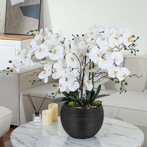 9 Stems Nearly Natural White Phalaenopsis Orchids with Succulents in White Magnesium Oxide Pot