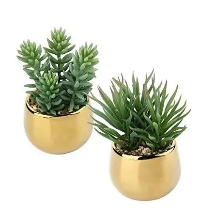 Handmade Classic Designer Copper Metal Planter Home Indoor Outdoor Garden Usage Customized Size Metal Planter