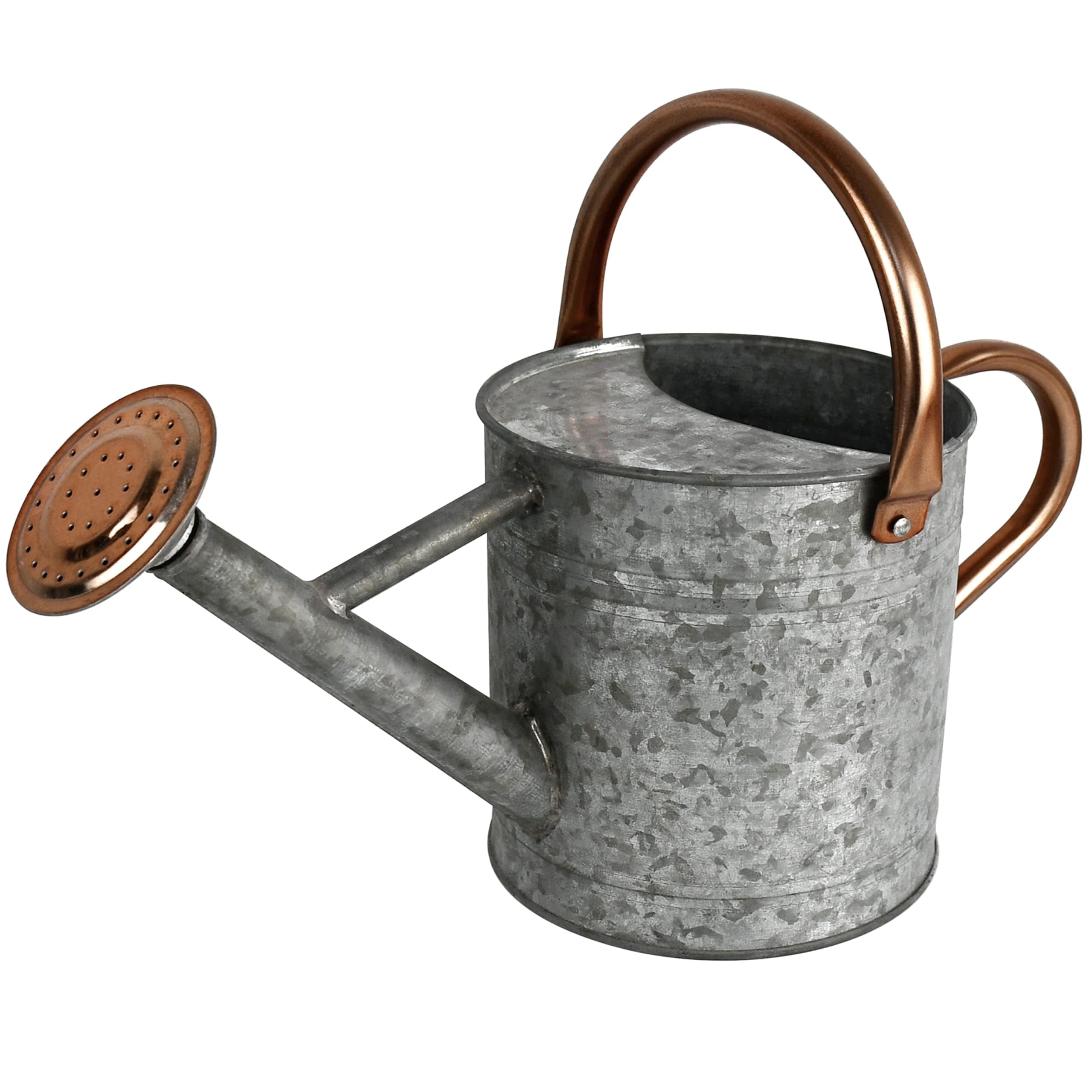 Homarden 1-Gallon Watering Can with Removable Spout, Metal Watering Can, Copper Colored