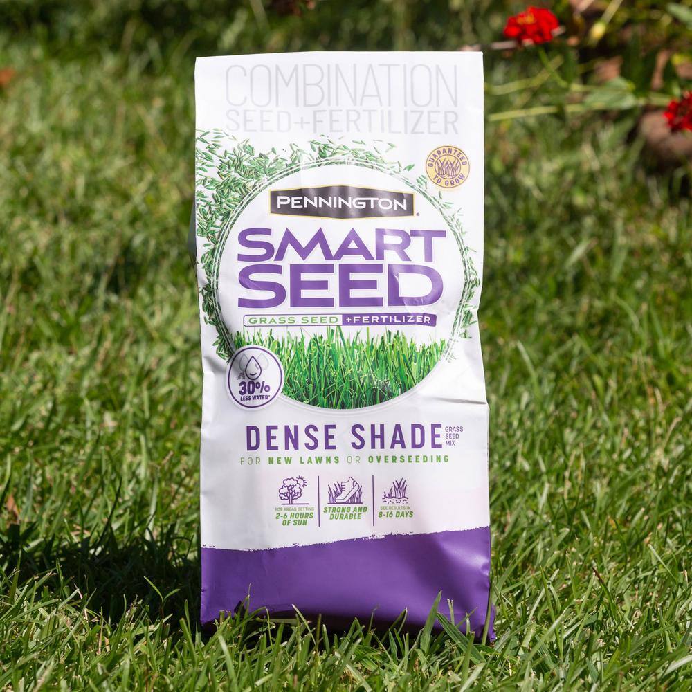 Pennington Smart Seed 3 lbs. Dense Shade Grass Seed and Fertilizer (2-Pack) 100543702