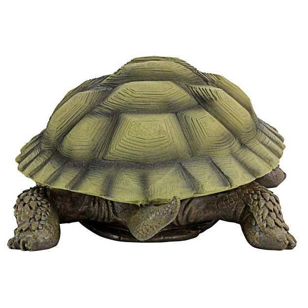 Design Toscano Gilbert The Box Turtle Statues Set Of Two