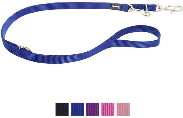 Red Dingo Classic Multi Purpose Nylon Hands-Free Running Dog Leash