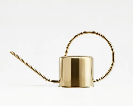 Extremely New Design Water Can Durable With Gold Plated Fineshed Metal Watering Can In Elegant For Home Garden Lawn Plan