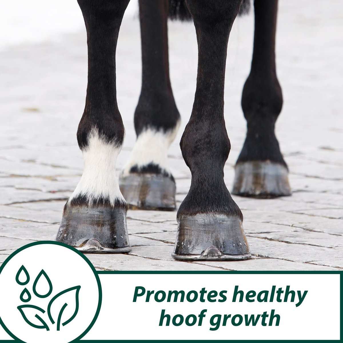 Farnam Horseshoer's Secret Pelleted Hoof Supplement Concentrate， Promotes Healthy Hoof Growth in Horses