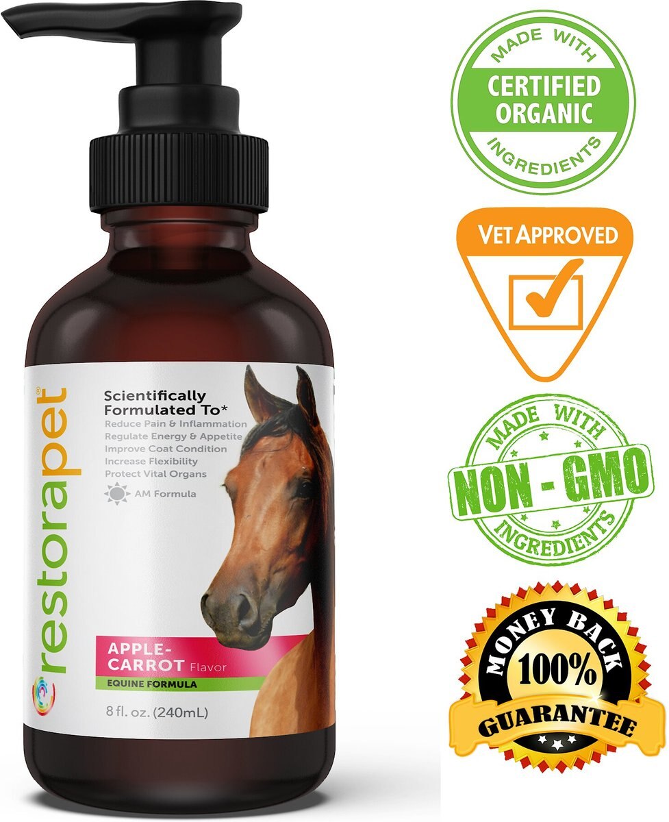 RestoraPet Equine Formula Apple-Carrot Flavor Horse Supplement， 8-oz bottle