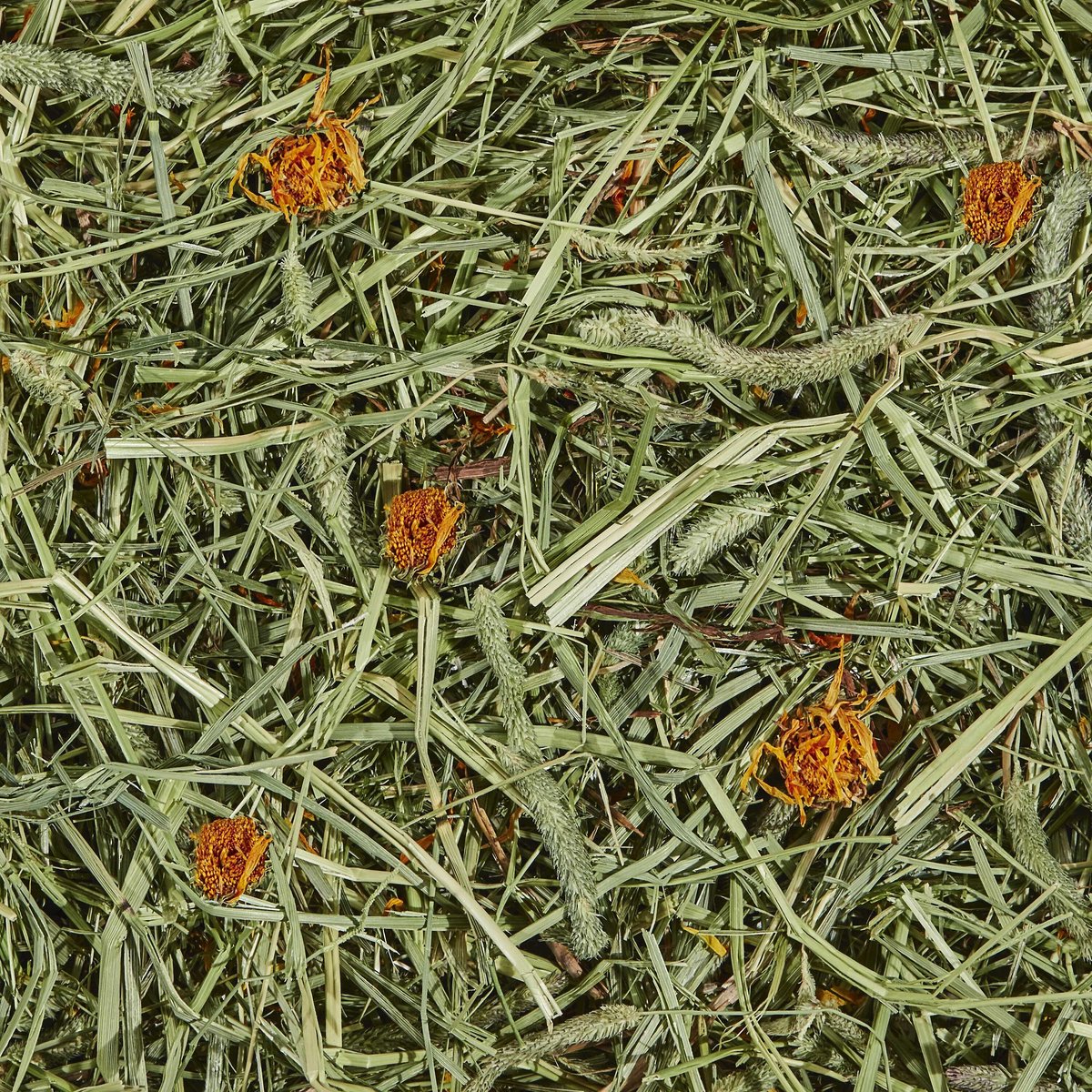 Kaytee Timothy Hay Plus Marigolds Small Animal Treat