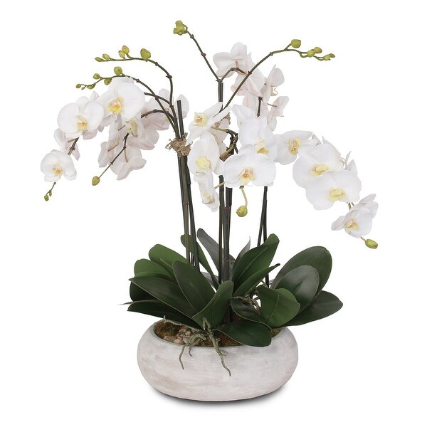 Two Tone White Silk Phalaenopsis Orchids Arrangement in Pot