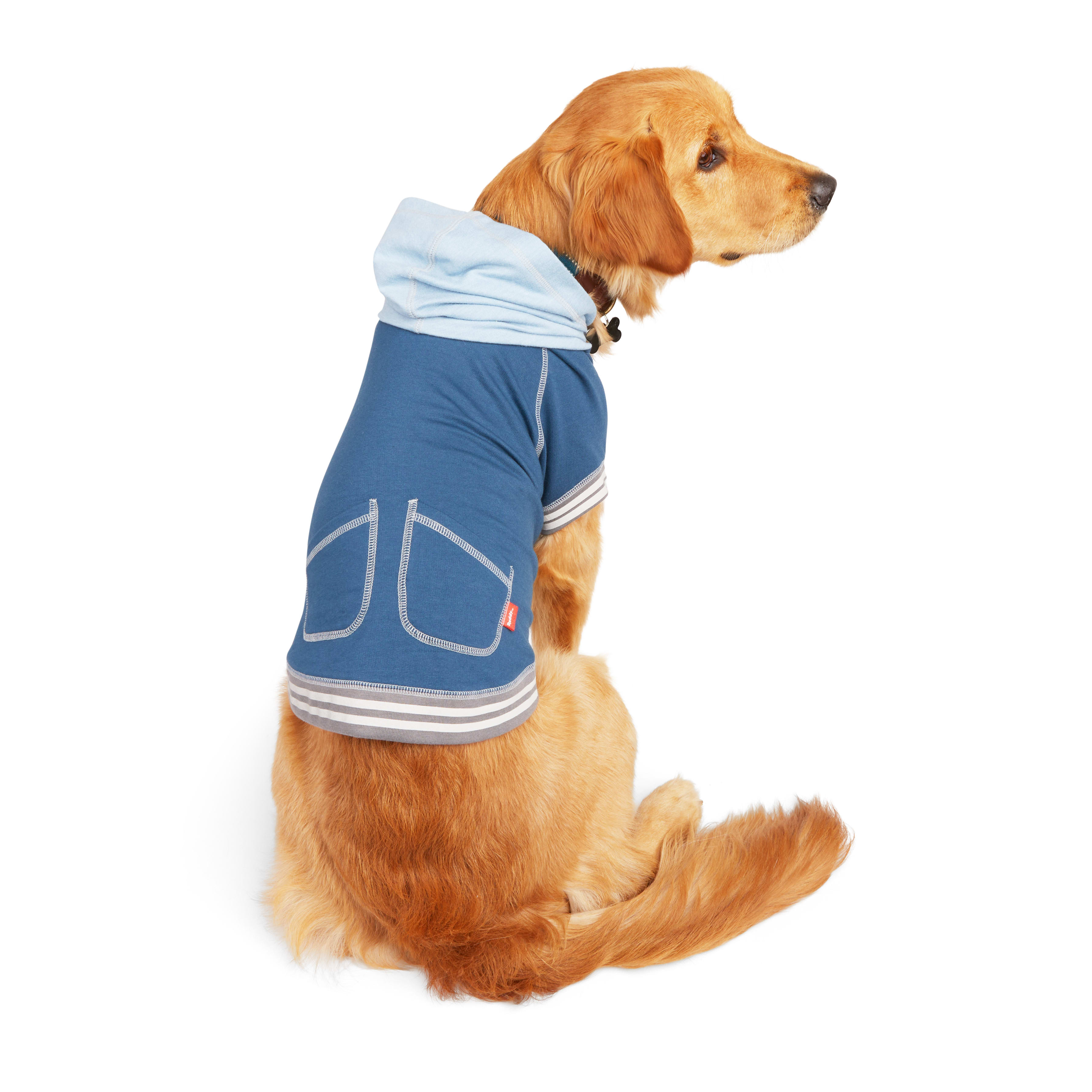 Reddy Champion Varsity Dog Hoodie， 3X-Large