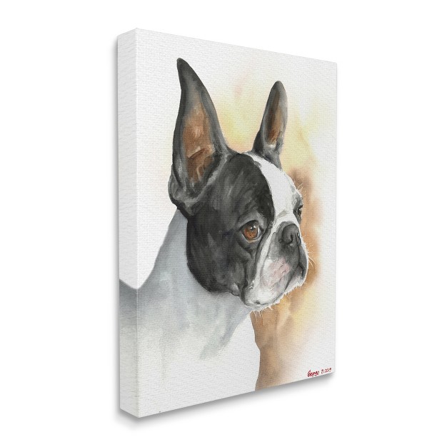 Stupell Industries Boston Terrier Pet Dog Portrait Black Brown Gallery Wrapped Canvas Wall Art 24 X 30