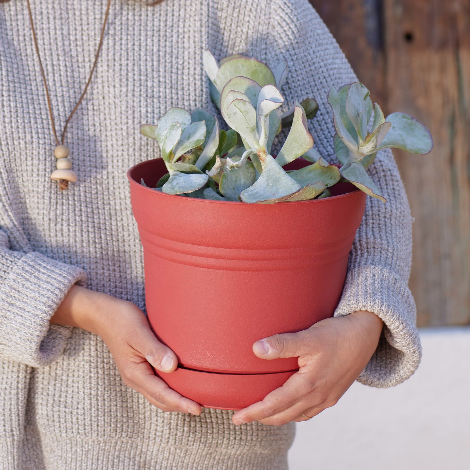 Bloem Saturn Round Planter With Saucer Tray: 10