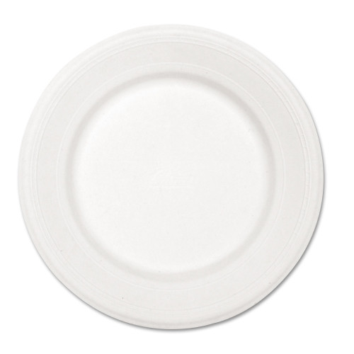 Chinet Paper Dinnerware， Plate， 10.5