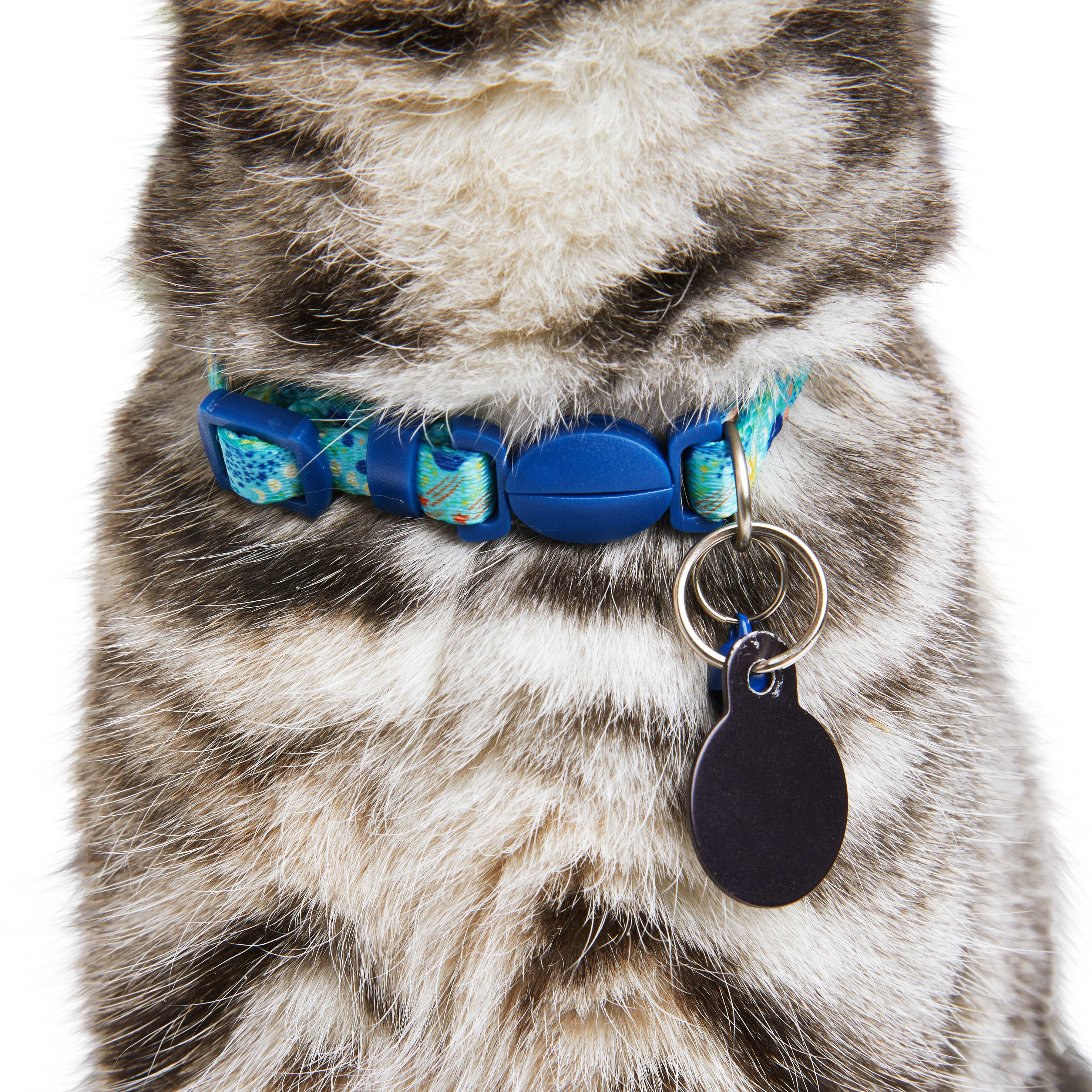 YOULY Space Printed Kitten Collar