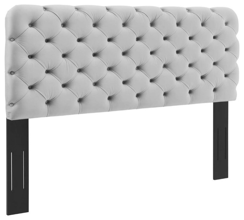 Modway Lizzy Tufted Full/Queen Performance Velvet Headboard in Light Gray   Transitional   Headboards   by Homesquare  Houzz