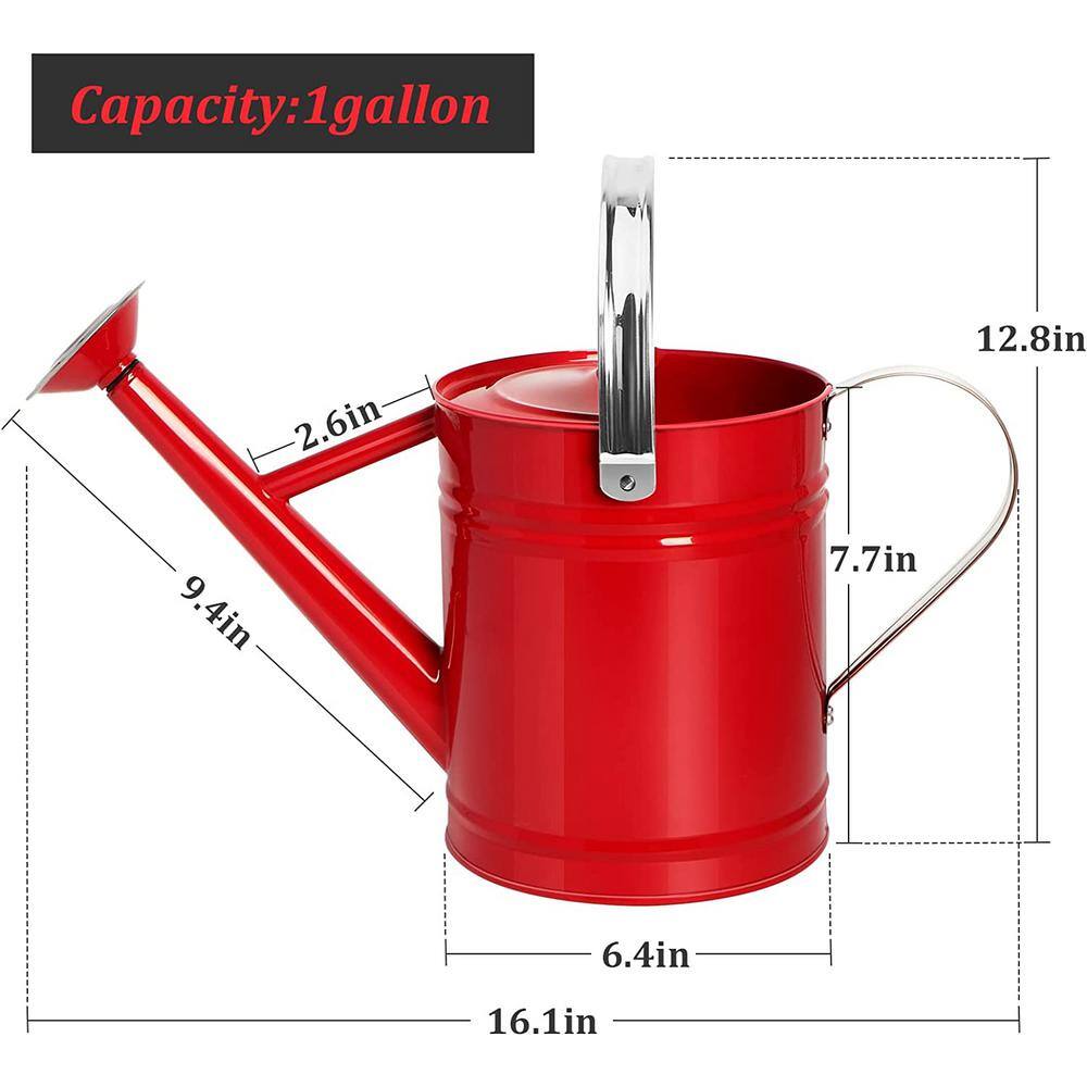 Cubilan 1 Gal. Watering Can for OutdoorIndoor Plants Galvanized Steel Watering Can with Stainless Steel Handles B09J163QF9