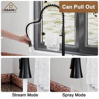 CASAINC Single-Handle Spring Pull Down Sprayer Kitchen Faucet in Matte Black with Dual Function Sprayhead and Deckplate CA-D0674-MB