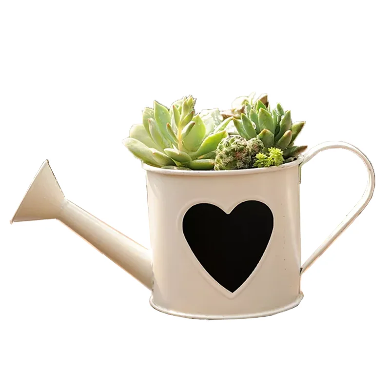 White garden tool watering can decorative home garden planter pot