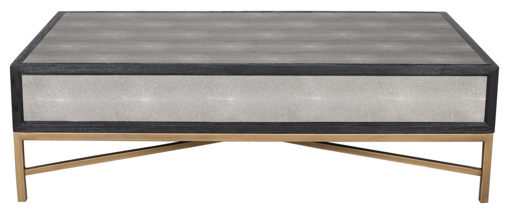 Mako Coffee Table   Contemporary   Coffee Tables   by HedgeApple  Houzz