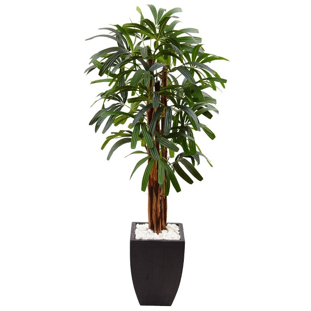 5.5ft Artificial Raphis Palm Tree In Black Planter - Nearly Natural