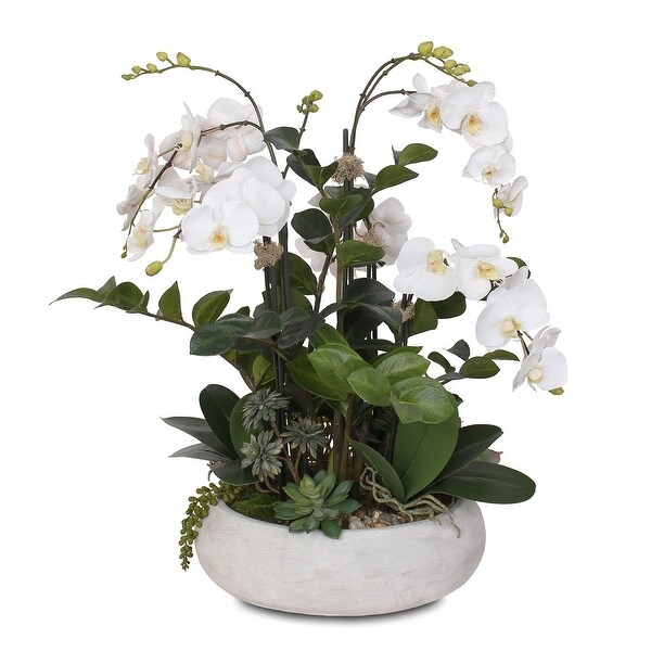 Two Tone White Silk Phalaenopsis Orchids，Succulents，ZZ Plant in Pot