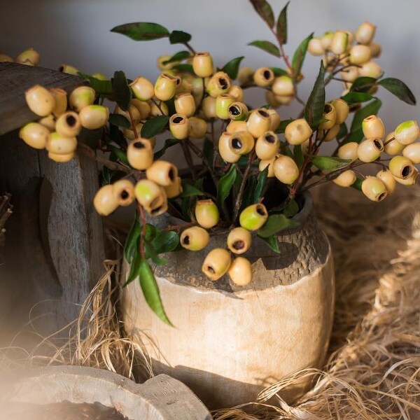 RusticReach Loquat Fruit Stem in Yellow 15 Tall