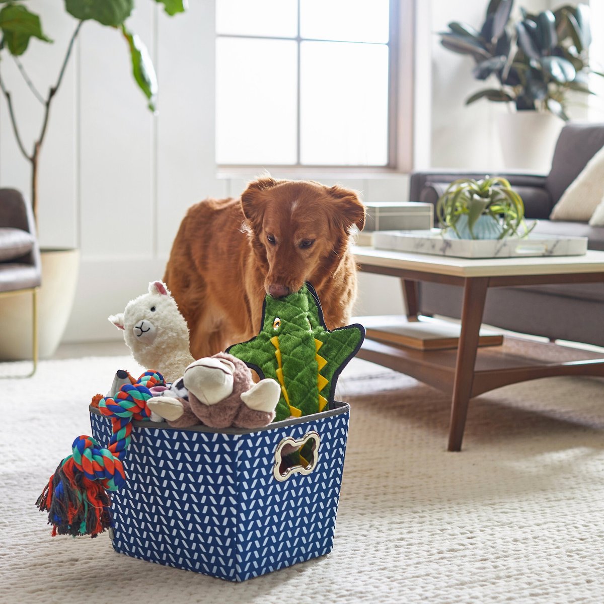 Frisco Rectangle Collapsible Pet Toy Storage Bin， Navy Herringbone