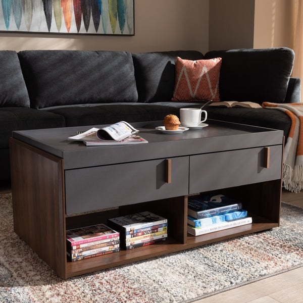 Contemporary 2-Drawer Coffee Table