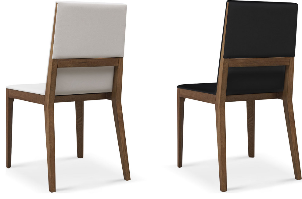 Adeline Dining Chair  Set of 2   Transitional   Dining Chairs   by HedgeApple  Houzz