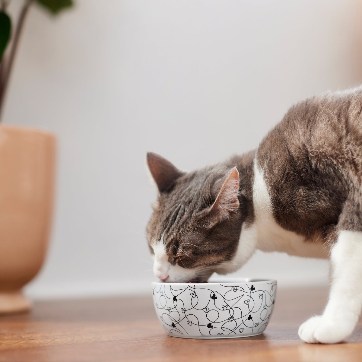 Disney Mickey Lines Non-Skid Ceramic Cat Bowl