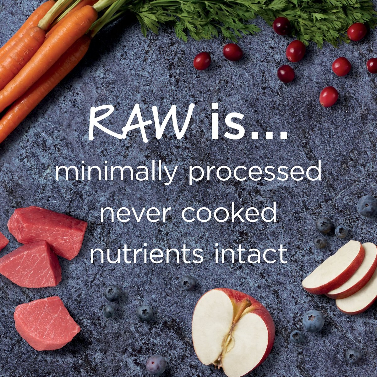 Instinct Raw Boost Small Breed Grain-Free Recipe with Real Beef and Freeze-Dried Raw Pieces Dry Dog Food